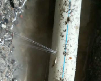 仁布卫生间测漏水多少钱