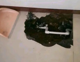 仁布卫生间测漏水多少钱